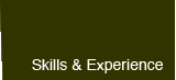 'Skills and Experience' button